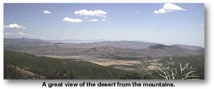 A great view of the desert from the mountains.