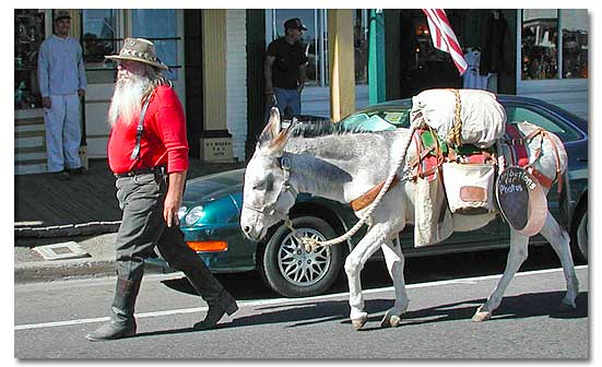 Virginia City prospector