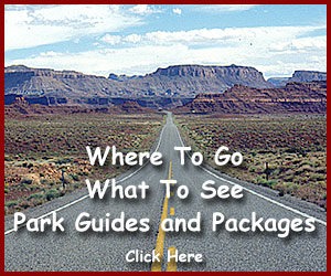 Where to Go and What to See