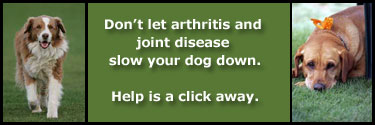 Don't let arthritis slow your dog down. Help is a click away