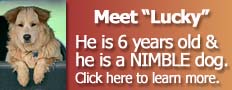 nimblead