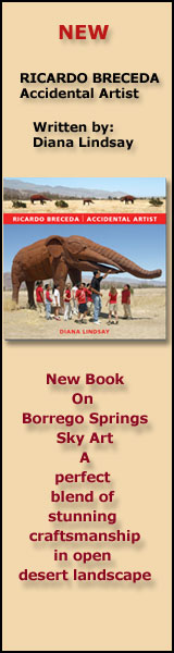 New book RICARDO BRECEDA Accidental Artist by: Diana Lindsay
