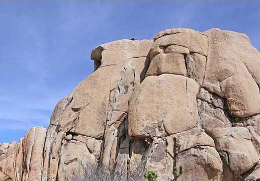Joshua Tree is a favorite with rock climbers.