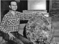 Joel Hauser - Hauser Geode Beds