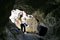 The Mud Caves 