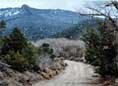 Great Basin National Park