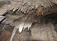 Mitchell Caverns