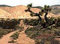 The Mojave Road