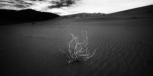 Songs or Silence
