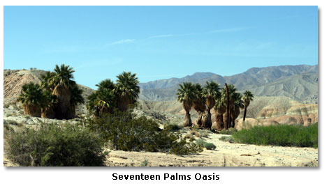 Seventeen Palms Oasis