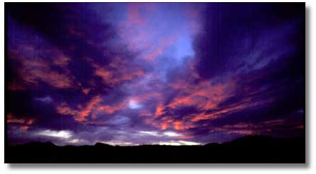 Sunset coyote canyon