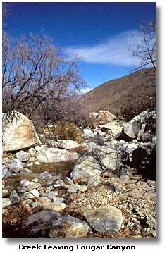Creek Cougar Canyon
