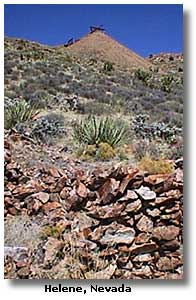 Helene