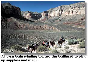 Horse train winding toward the trailhead