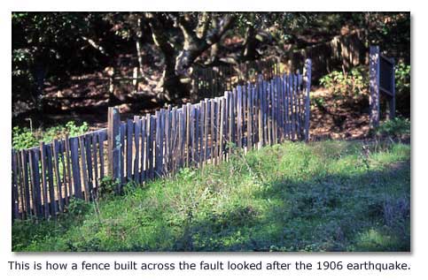 This is how a fence built across the fault looked after the 1906 earthquake.