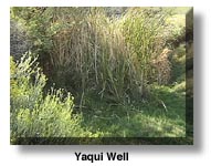 Yaqui Well