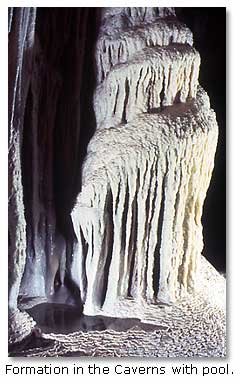 Carlsbad Caverns - DesertUSA