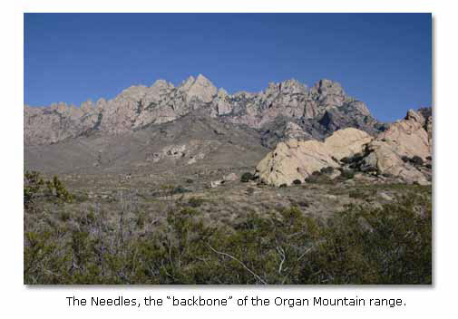 The Needles, the backbone of the Organ Mountain Range.