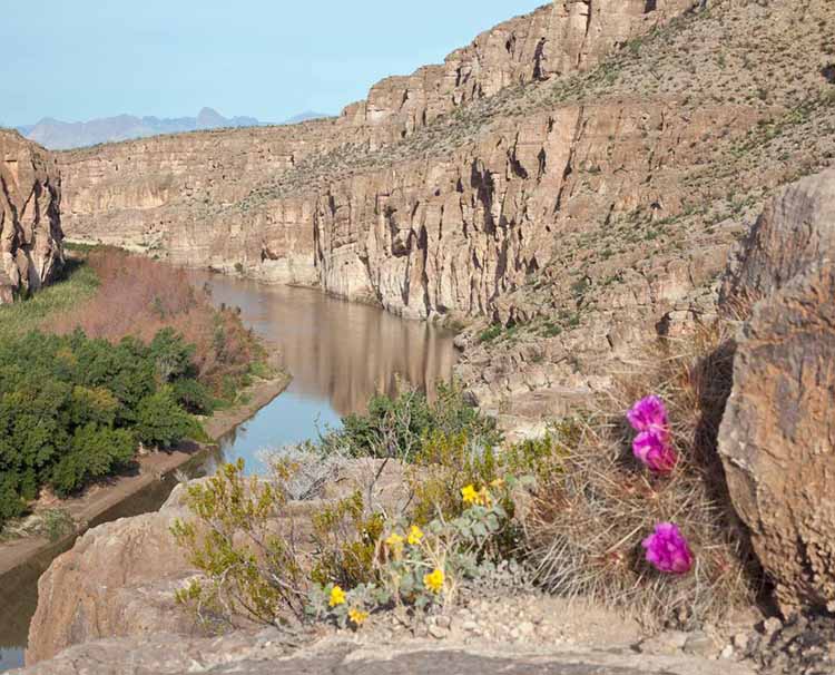Desert Treasures at Big Bend NP