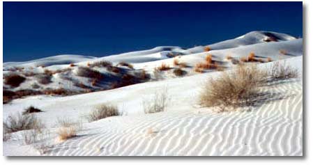 Guadalupe NP sand dunes