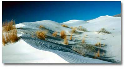 Guadalupe NP sand dunes