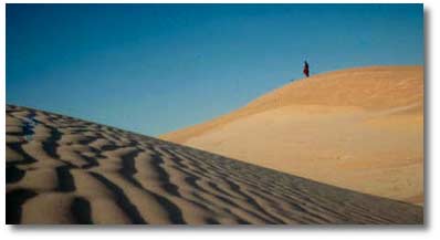 Guadalupe NP sand dunes