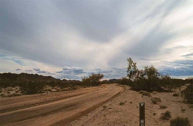 Bradshaw's Desert Trail