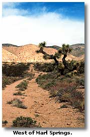 West of Marl Springs