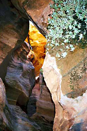 White Canyon Utah