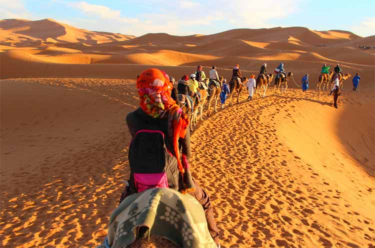 The Sahara Desert: Wildlife, Plants, People and Cultures, Interesting Facts  - DesertUSA