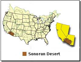 Map location Sonoran desert
