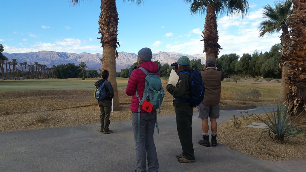 Citizen scientists looking for birds at the Oasis at Death Valley during the 2018 Christmas Bird Count. NPS