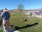 Yucca Valley Dog Park