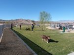 Yucca Valley Dog Park