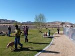 Yucca Valley Dog Park
