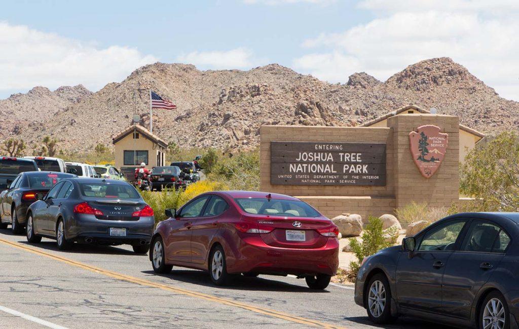 Traffic at Joshua Tree