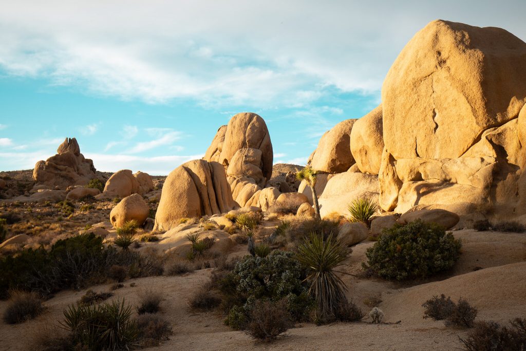 Large desert boulders illuminated by the setting sun.