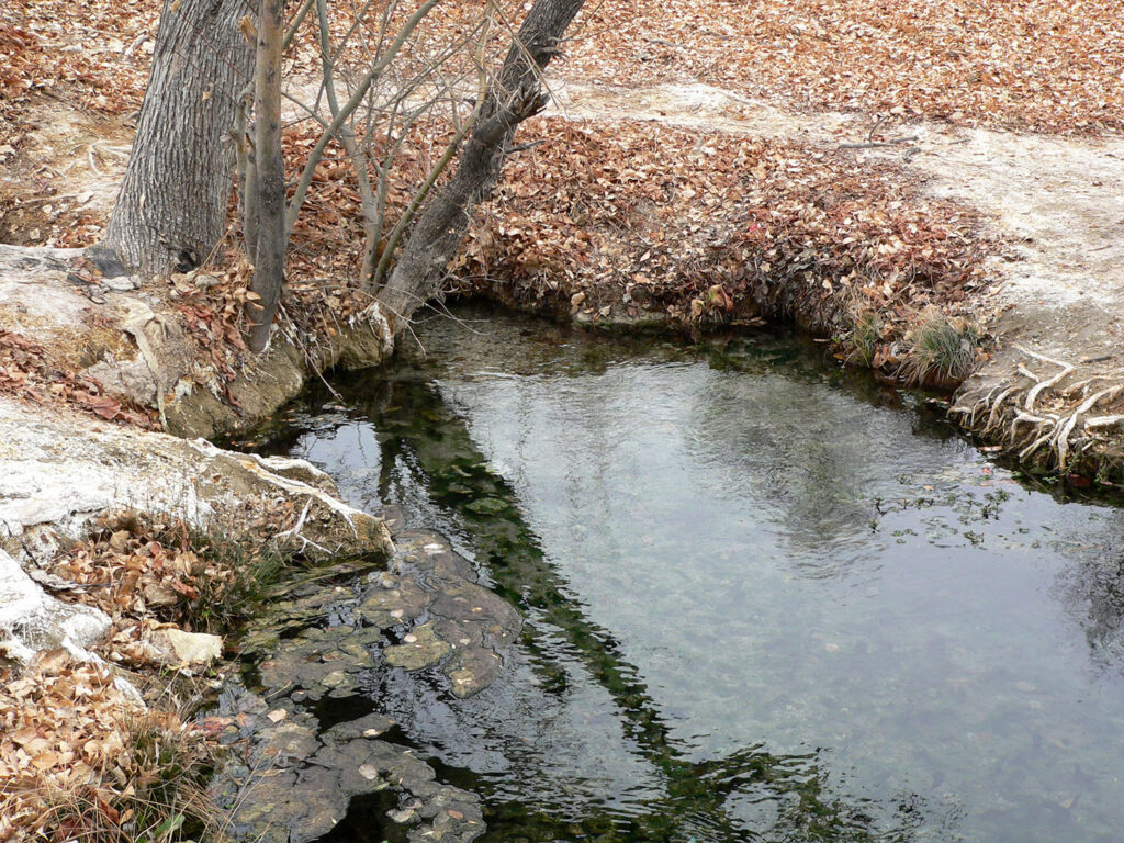 Ash Springs, a hot spring in Nevada. By Stan Shebs, CC BY-SA 3.0