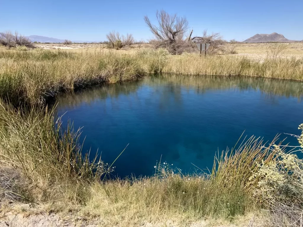 Big Spring located at Ash Meadows National Wildlife Refuge.  Photo by Kate Bloomfield/USFWS. Public Domain.