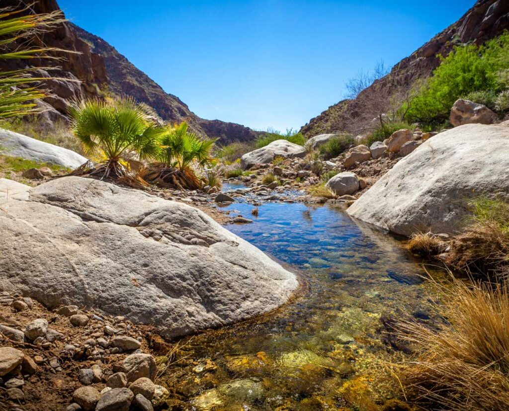 Borrego Palm Canyon Creek. Photo by Gary Kavanagh-Getty Images.