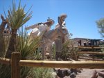 Claude Bell Sculpture at Calico