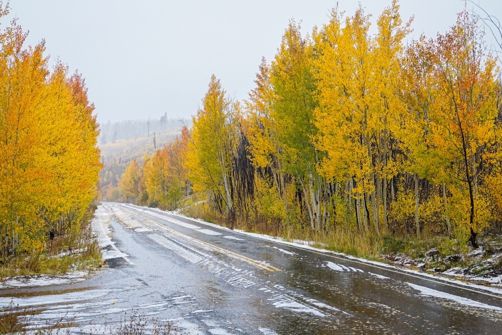 North Rim Fall Colors