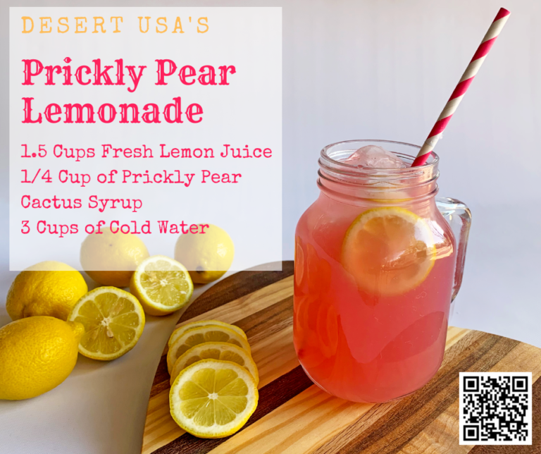 Prickly Pear Cactus Recipes DesertUSA