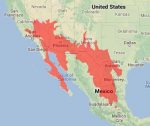 Creosote Range