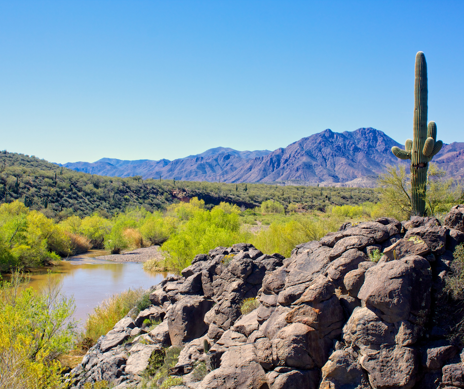 Verde River Valley, Arizona