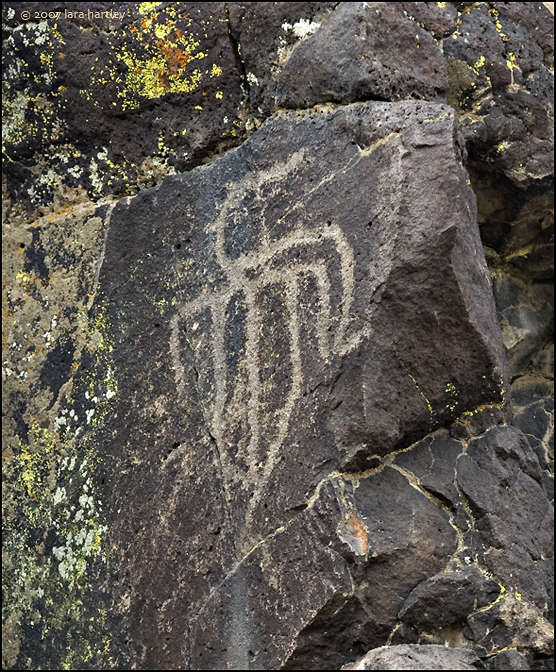 This bird-like petroglyph is thought to be composed of three different drawings.