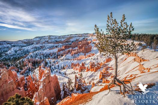 bryce in winter