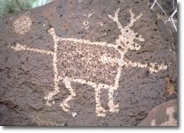 Petroglyph of a deer or pronghorn pierced by a spear. PETR/NPS