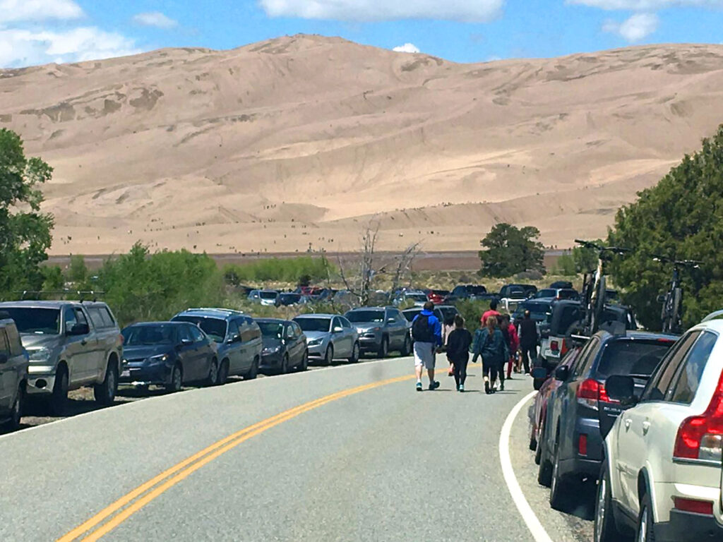 The road to the dunes is lined with parked cars and visitors walking in the road on a crowded early summer weekend. The tall dunes are in the background with hundreds of visitors on their slopes. NPS