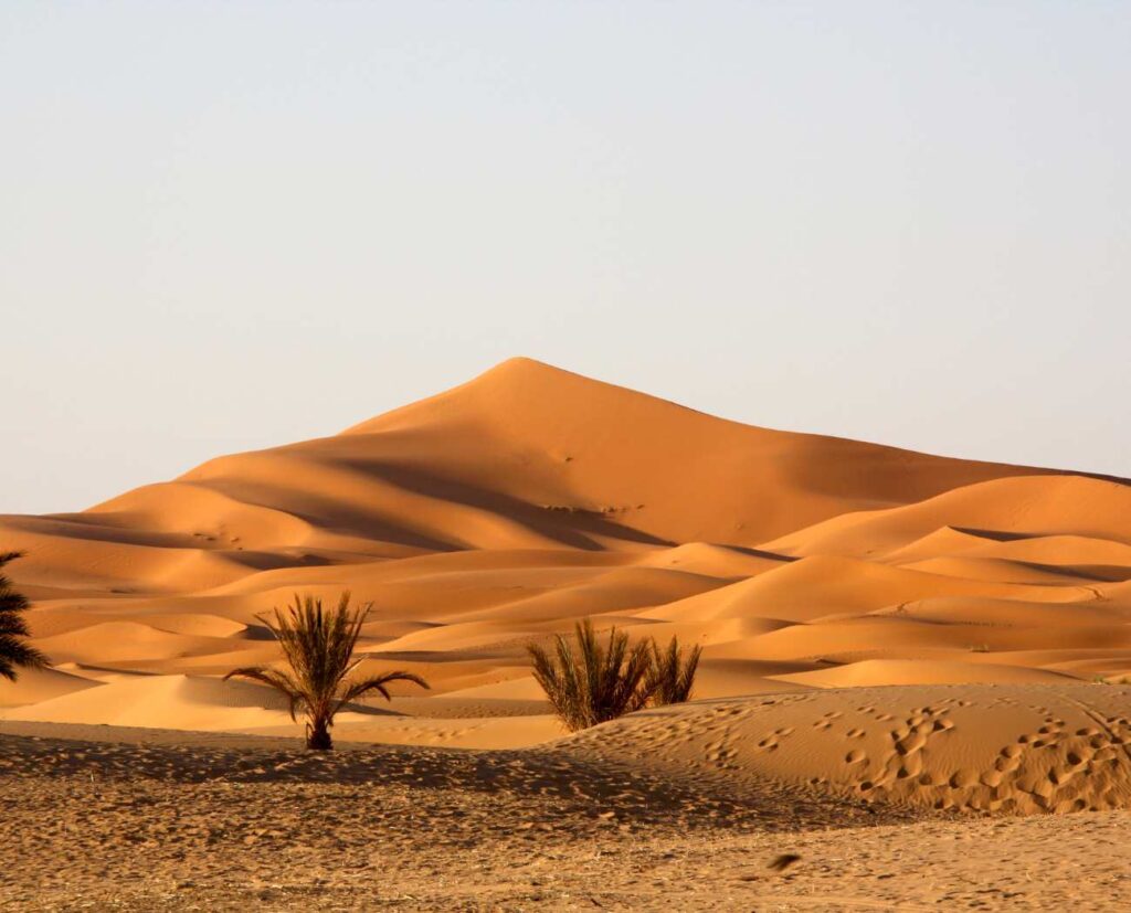 Sahara Desert landscape between the border of Morocco and Shara. 
Photo by Wallins/Getty Images.
